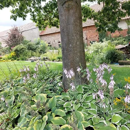 Am Droemling Suedheide - Kurt Apartament *