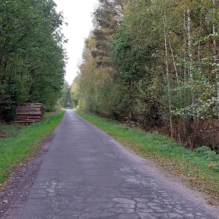 Am Droemling Suedheide - Kurt Apartament *