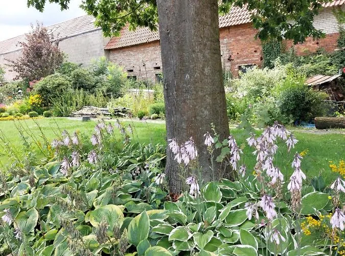 Am Droemling Suedheide - Kurt 公寓 *