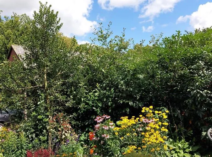 公寓 Am Droemling Suedheide - Kurt